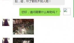最新爆料石家庄新闻网,揭秘背后惊人真相