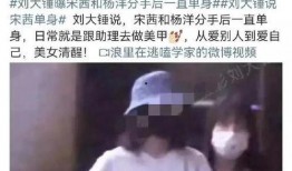 刘大锤最新爆料分手,明星情侣分手内幕大曝光！