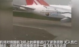 飞机最新爆料新闻事件,神秘性能突破引发全球关注