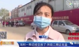 最新爆料石家庄新闻网,揭秘背后惊人真相