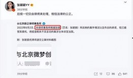 张颖颖最新爆料消息视频,事件真相再引热议