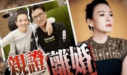 刘大锤最新爆料原版下载,原版下载背后的秘密与真相