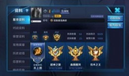 王者皮肤爆料最新价格表,最新价格表一览，热门皮肤价格大揭秘！