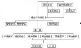 行政诉讼爆料流程规定最新,最新规定详解与操作指南