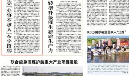 岳阳头条最新爆料临湘市,临湘市最新动态揭秘！”