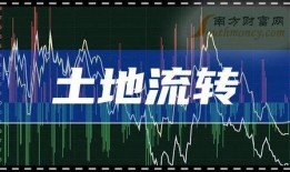 美媒体最新爆料中国股市,美媒最新爆料揭示关键信息