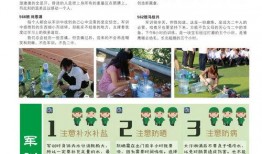 今日爆料快报最新一期,最新一期热点事件深度剖析