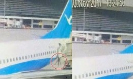 厦航空姐爆料视频最新版,揭秘航班内部真实情况