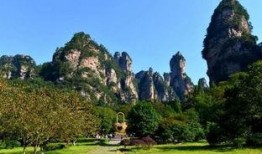 吃瓜最新事件爆料张家界,吃瓜群众揭秘最新神秘事件