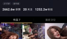 南阳网红爆料是谁啊最新消息,揭秘神秘人物身份引发热议