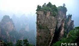 吃瓜最新事件爆料张家界,吃瓜群众揭秘最新神秘事件