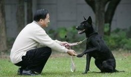 勇哥最新爆料,最新爆料背后的惊人真相