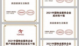 奥园集团爆料新闻最新,揭秘企业转型背后的故事与挑战