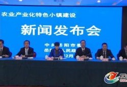 岳阳最新新闻爆料网,揭秘岳阳本土热点事件！