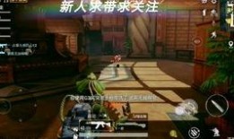 cf返厂最新爆料是什么,揭秘神秘新内容与更新计划